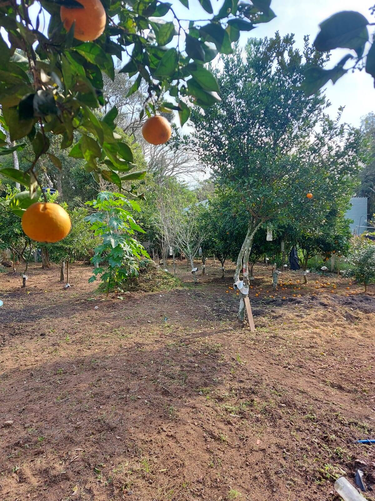 Casa, 1 quarto - Foto 16