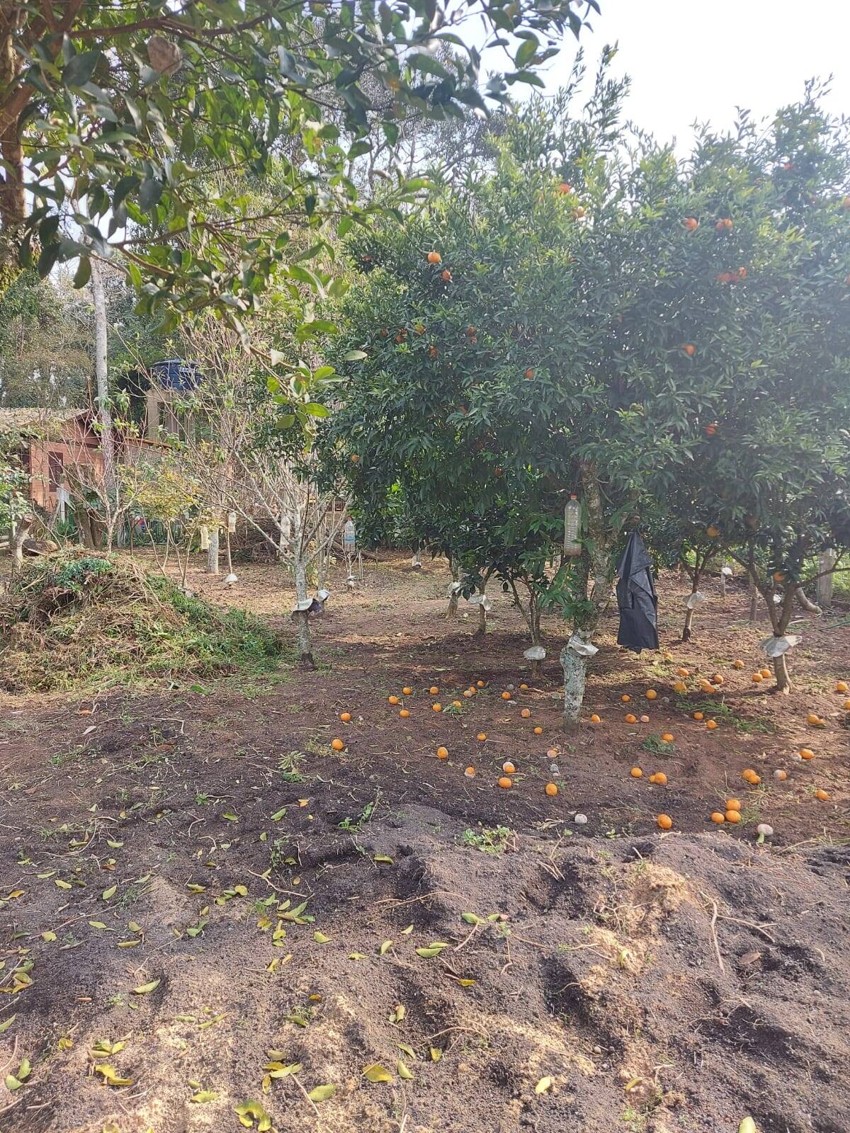 Casa, 1 quarto - Foto 15