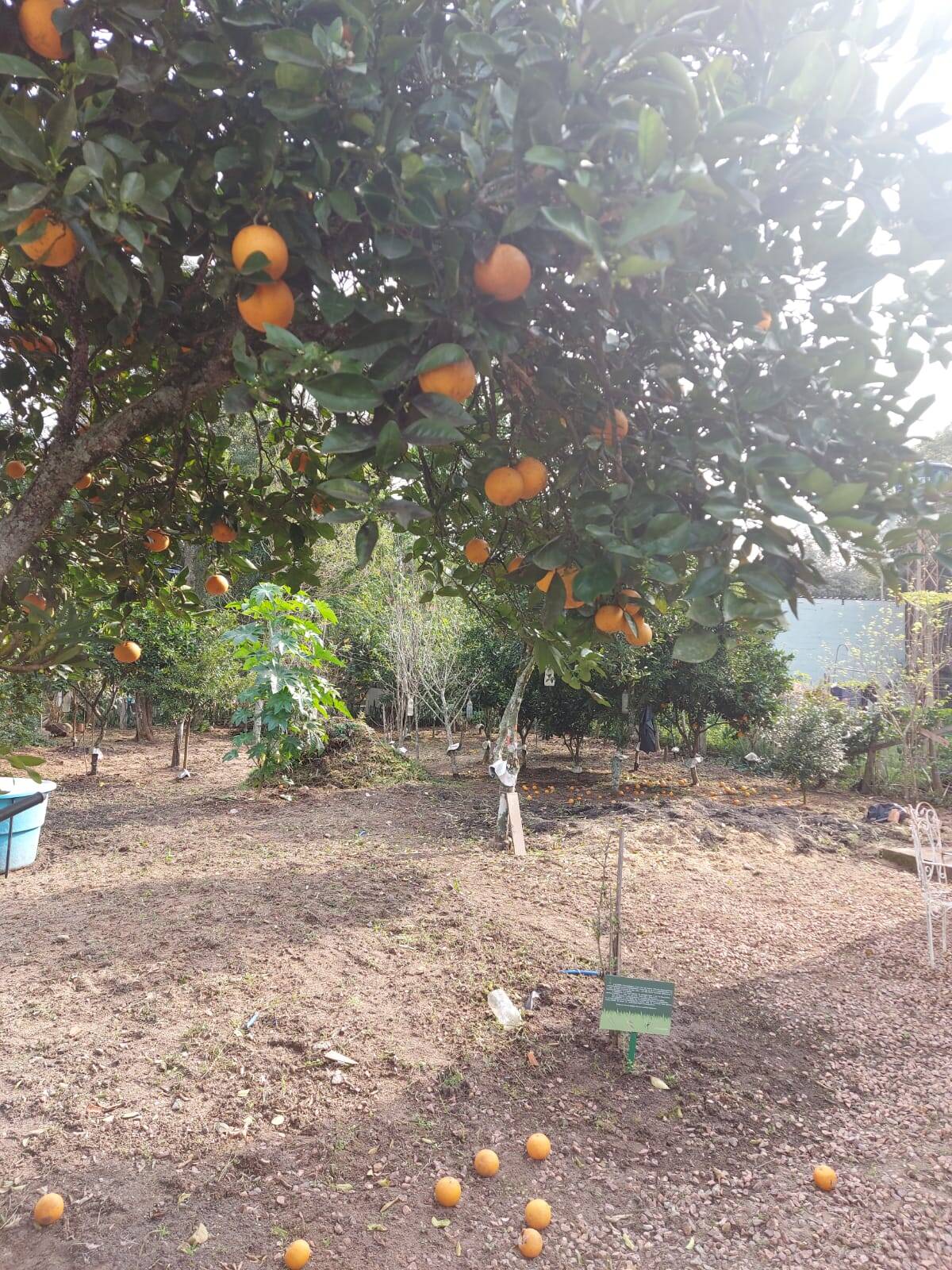 Casa, 1 quarto - Foto 17