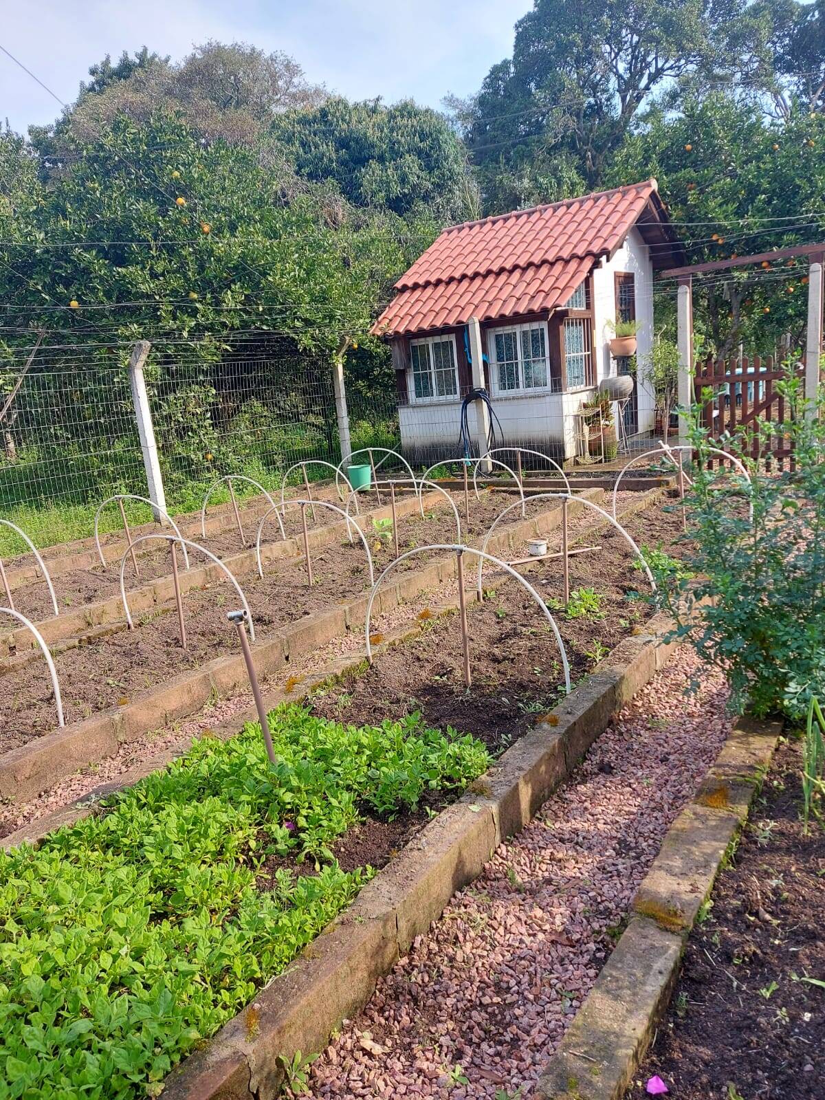 Casa, 1 quarto - Foto 21