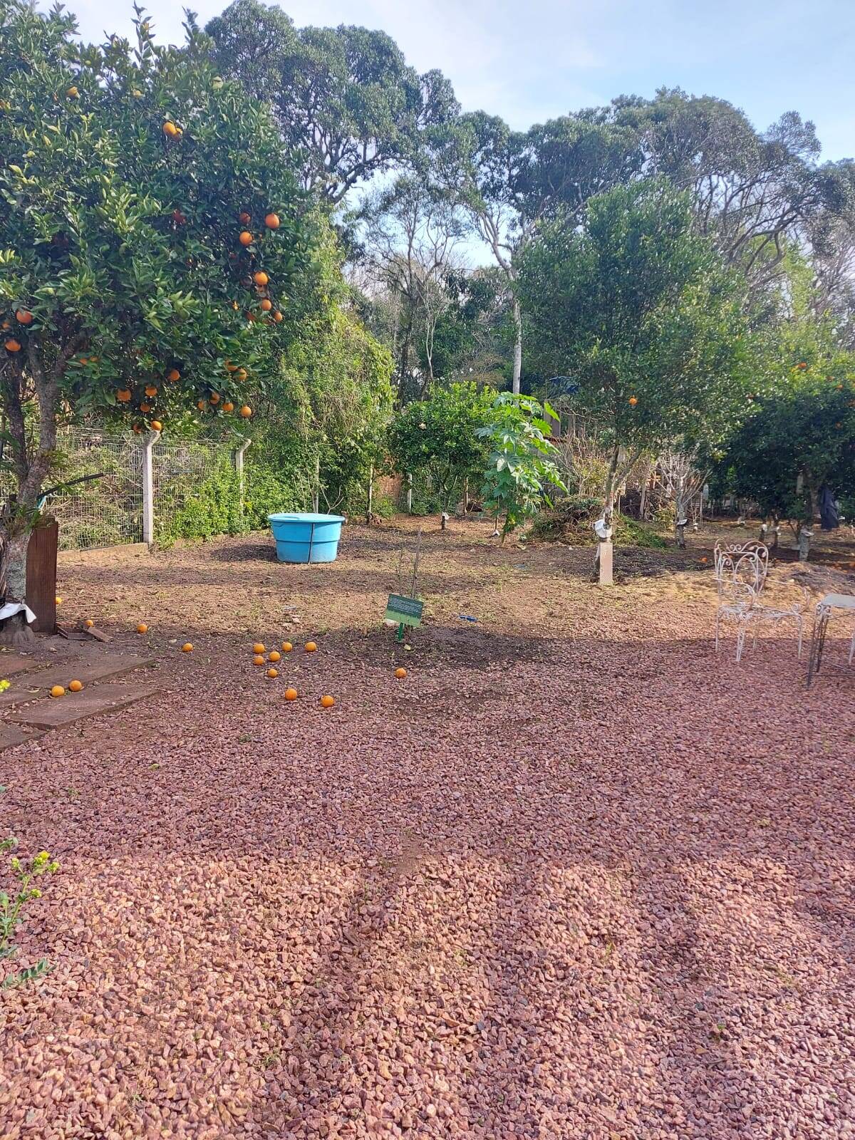 Casa, 1 quarto - Foto 19