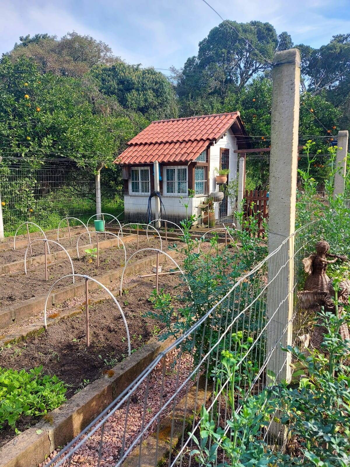 Casa, 1 quarto - Foto 22