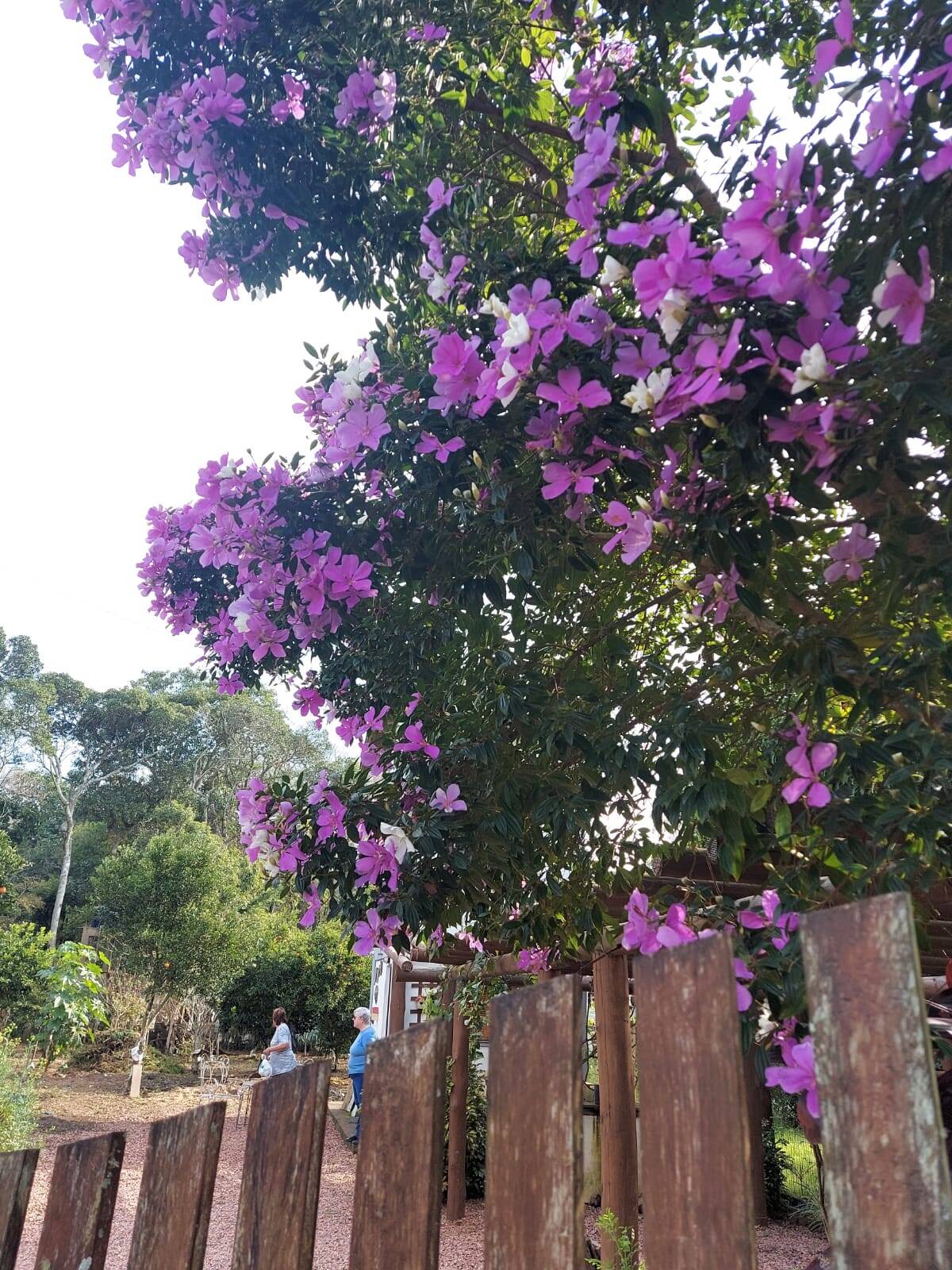 Casa, 1 quarto - Foto 23