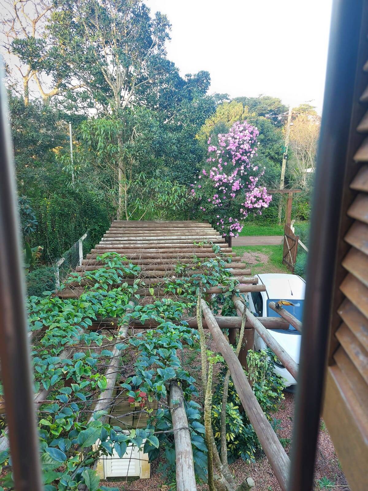 Casa, 1 quarto - Foto 30