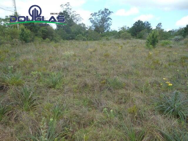 IMÓVEIS COMERCIAIS para Venda em Viamão - 4