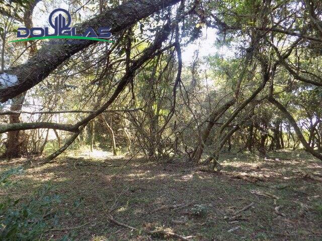 #845 - CHÁCARAS ACIMA DE 2 HECTARES para Venda em Viamão - RS - 1