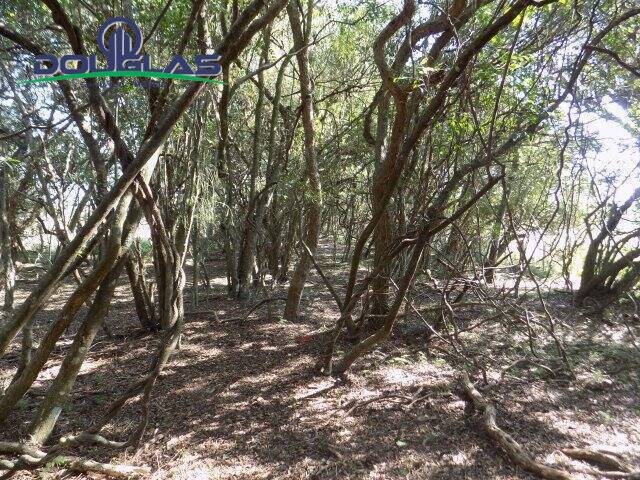 CHÁCARAS ACIMA DE 2 HECTARES para Venda em Viamão - 4