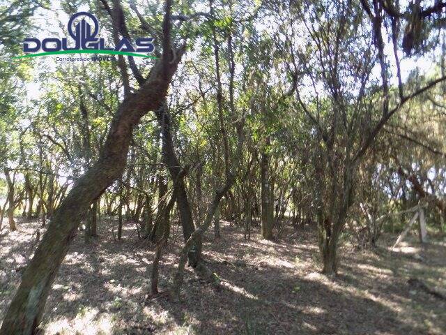 CHÁCARAS ACIMA DE 2 HECTARES para Venda em Viamão - 5