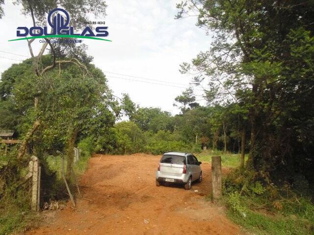 #1208 - TERRENOS FORA DE CONDOMÍNIO para Venda em Viamão - RS - 3