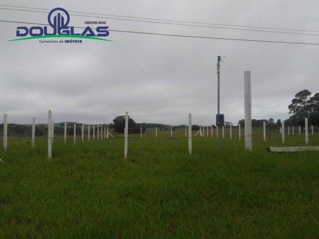 #1209 - TERRENOS FORA DE CONDOMÍNIO para Venda em Viamão - RS - 3