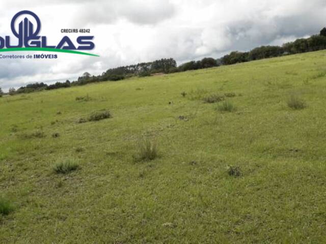 #1214 - CHÁCARAS ACIMA DE 2 HECTARES para Venda em Viamão - RS - 3