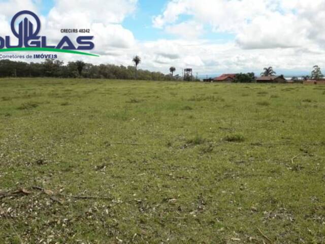 #1214 - CHÁCARAS ACIMA DE 2 HECTARES para Venda em Viamão - RS - 1