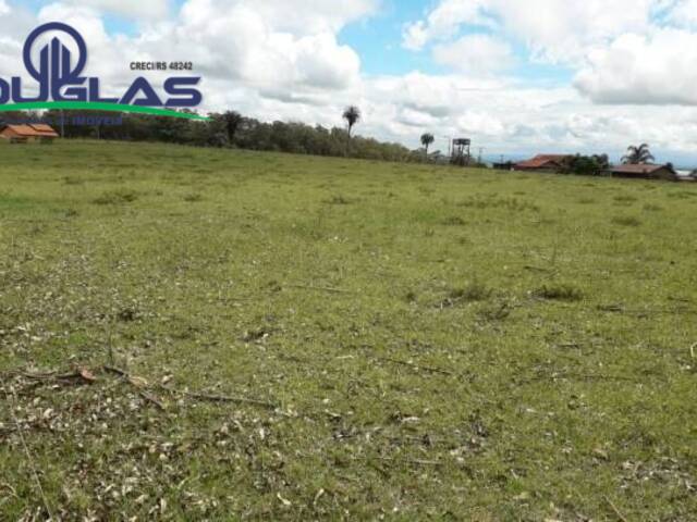 #1214 - CHÁCARAS ACIMA DE 2 HECTARES para Venda em Viamão - RS - 2