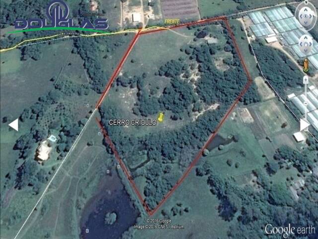 #1415 - SÍTIOS DE 5.000M² ATÉ 2 HECTARES para Venda em Viamão - RS - 3