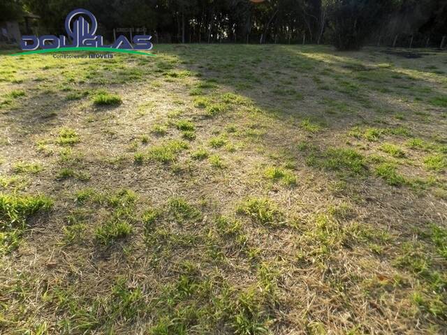 TERRENOS FORA DE CONDOMÍNIO para Venda em Viamão - 5