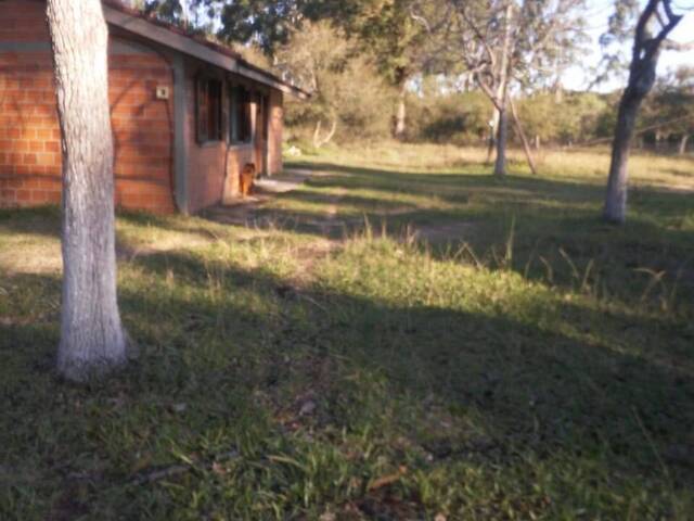 #1462 - CHÁCARAS ACIMA DE 2 HECTARES para Venda em Viamão - RS - 1