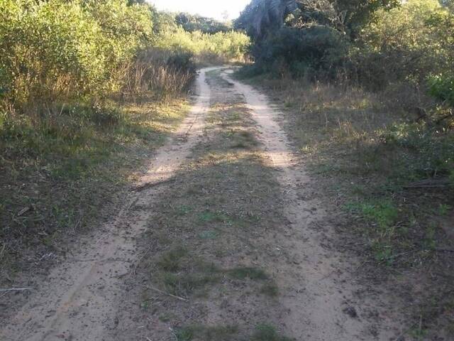 #1462 - CHÁCARAS ACIMA DE 2 HECTARES para Venda em Viamão - RS - 3