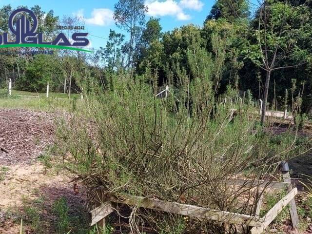 TERRENOS EM CONDOMÍNIO FECHADO para Venda em Viamão - 4