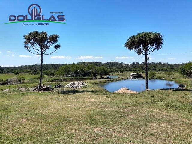 #1518 - CHÁCARAS ACIMA DE 2 HECTARES para Venda em Viamão - RS - 2