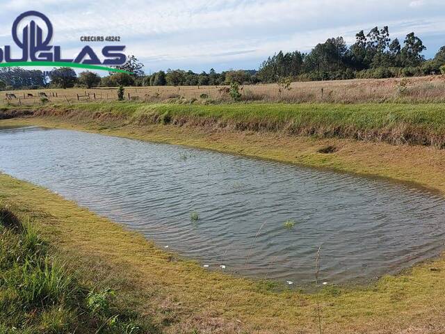 #1604 - CHÁCARAS ACIMA DE 2 HECTARES para Venda em Viamão - RS - 1