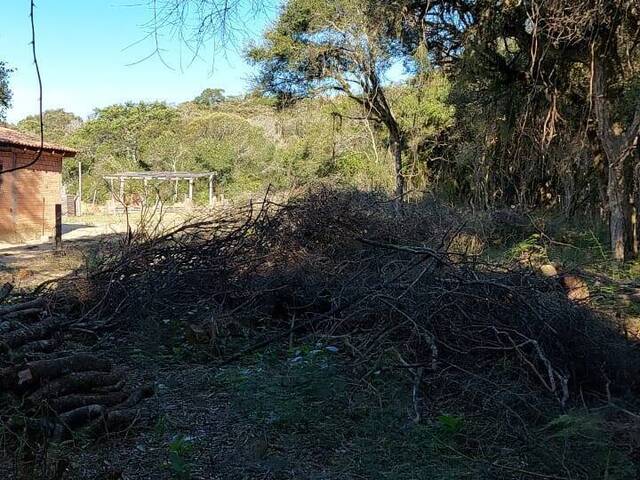 #1605 - TERRENOS FORA DE CONDOMÍNIO para Venda em Viamão - RS - 1