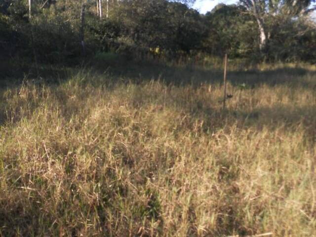 #1690 - CHÁCARAS ACIMA DE 2 HECTARES para Venda em Viamão - RS - 3