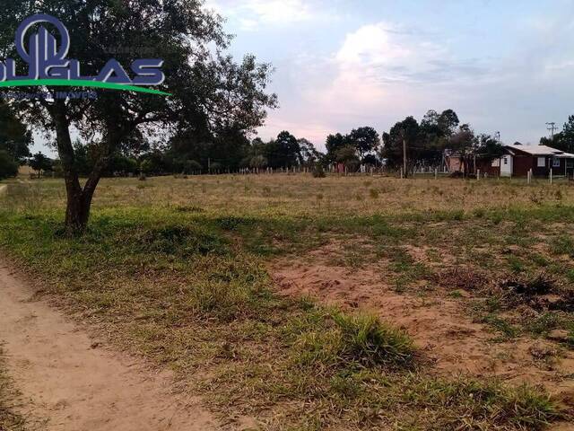 #1696 - SÍTIOS DE 5.000M² ATÉ 2 HECTARES para Venda em Viamão - RS - 2