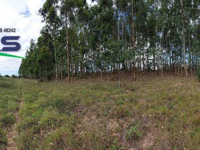 #1712 - CHÁCARAS ACIMA DE 2 HECTARES para Venda em Viamão - RS - 2