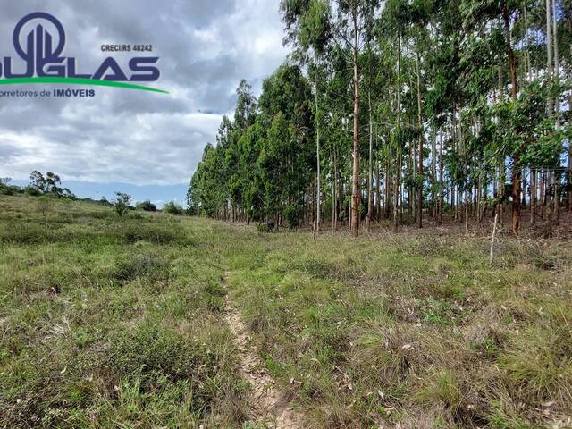 #1712 - CHÁCARAS ACIMA DE 2 HECTARES para Venda em Viamão - RS - 3