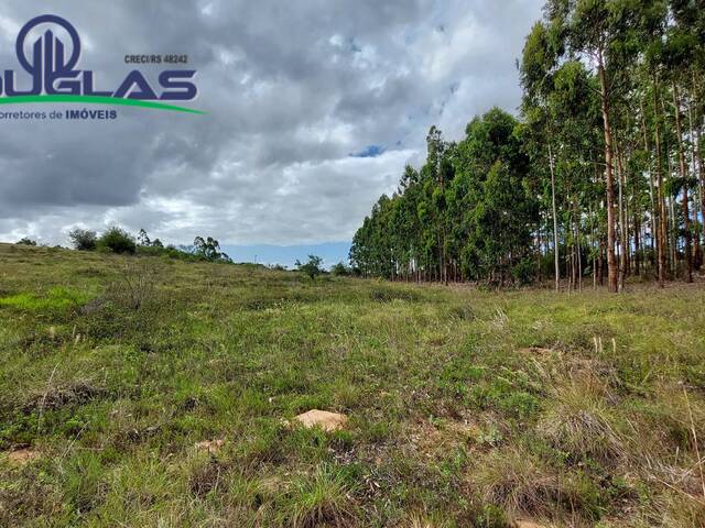 CHÁCARAS ACIMA DE 2 HECTARES para Venda em Viamão - 5