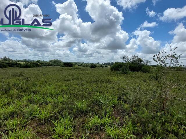 #1778 - CHÁCARAS ACIMA DE 2 HECTARES para Venda em Viamão - RS - 3