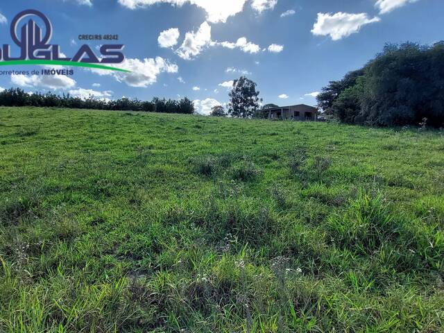 SÍTIOS DE 5.000M² ATÉ 2 HECTARES para Venda em Viamão - 4