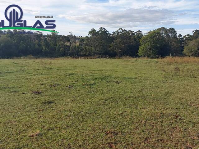 #1865 - CHÁCARAS ACIMA DE 2 HECTARES para Venda em Viamão - RS - 2