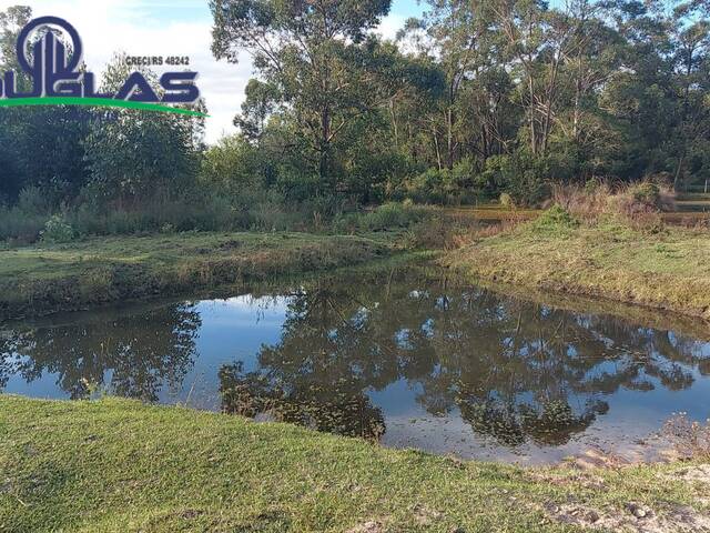 #1865 - CHÁCARAS ACIMA DE 2 HECTARES para Venda em Viamão - RS - 1