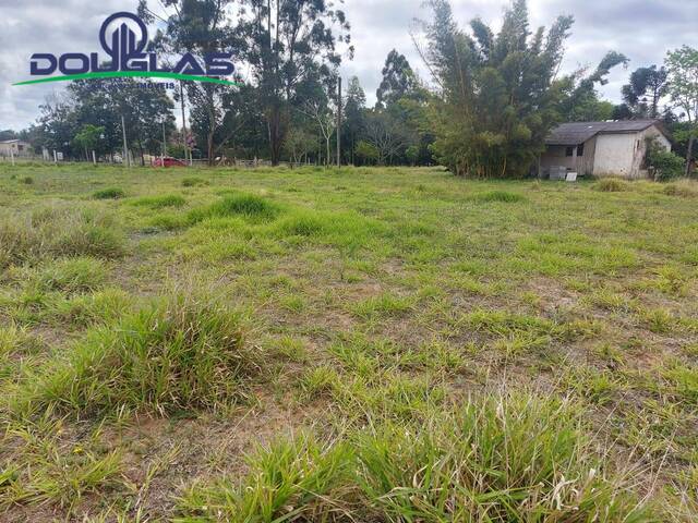 #1969 - TERRENOS FORA DE CONDOMÍNIO para Venda em Viamão - RS - 3