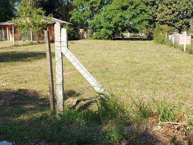 #2037 - TERRENOS FORA DE CONDOMÍNIO para Venda em Viamão - RS - 3