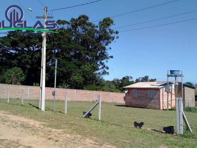 para em - 3