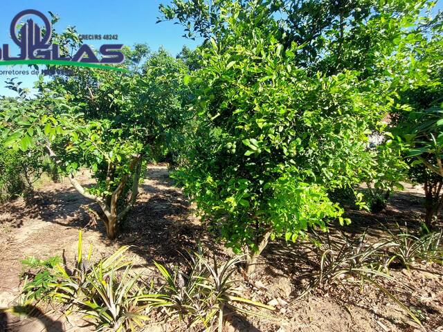 TERRENOS EM CONDOMÍNIO FECHADO para Venda em Viamão - 4