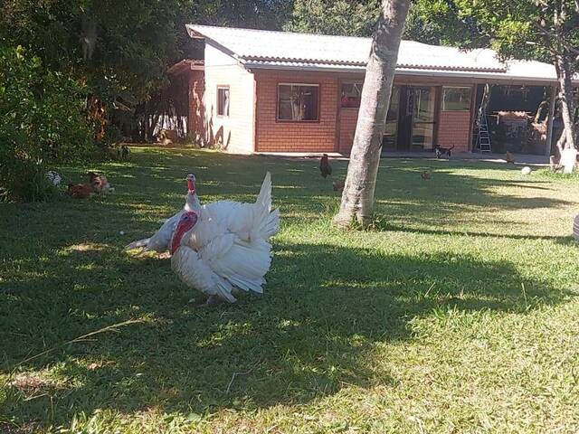 #2056 - CASAS EM CONDOMÍNIO FECHADO para Venda em Viamão - RS - 3