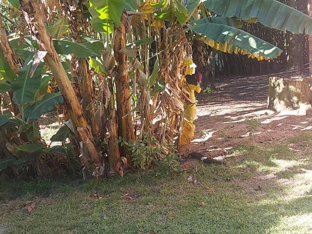 CASAS EM CONDOMÍNIO FECHADO para Venda em Viamão - 5
