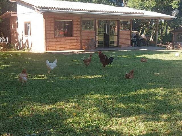 CASAS EM CONDOMÍNIO FECHADO para Venda em Viamão - 4