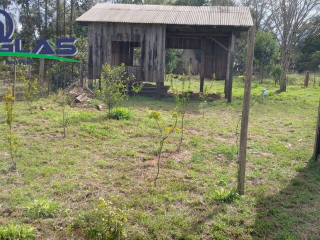 #2057 - CASAS FORA DE CONDOMÍNIO para Venda em Viamão - RS - 1
