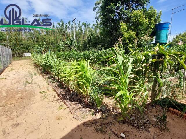 TERRENOS FORA DE CONDOMÍNIO para Venda em Viamão - 2
