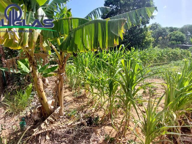 TERRENOS FORA DE CONDOMÍNIO para Venda em Viamão - 3