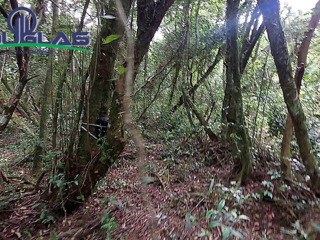 SÍTIOS DE 5.000M² ATÉ 2 HECTARES para Venda em Viamão - 4