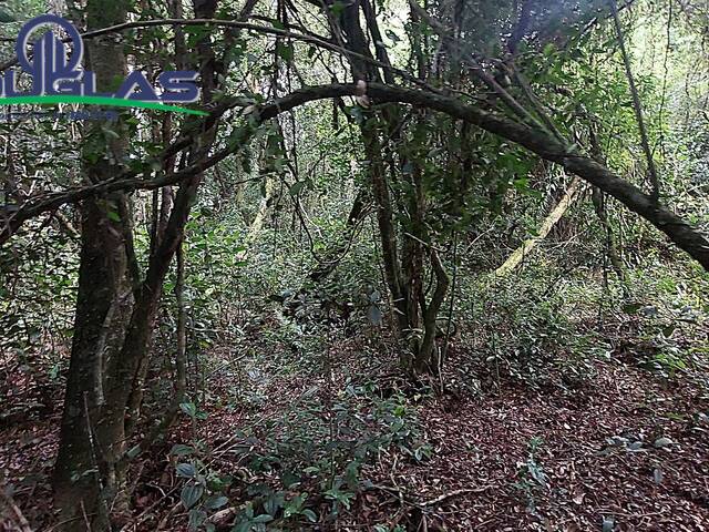 SÍTIOS DE 5.000M² ATÉ 2 HECTARES para Venda em Viamão - 5