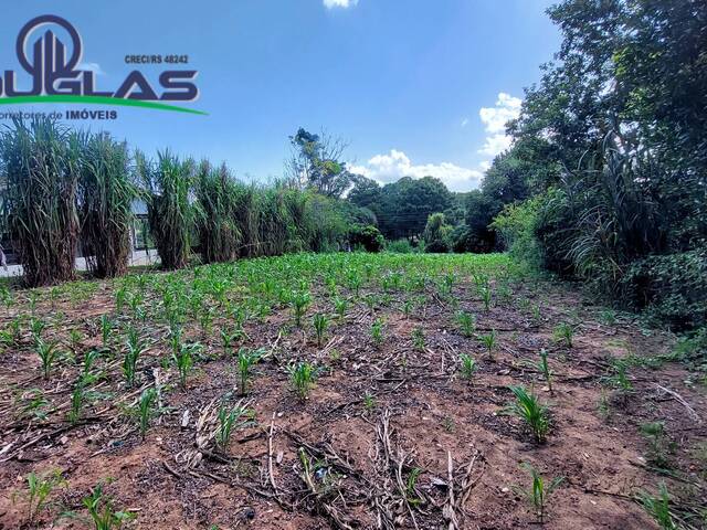 #2125 - TERRENOS EM CONDOMÍNIO FECHADO para Venda em Viamão - RS - 1