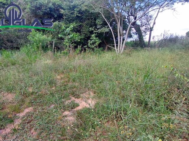 #2146 - CHÁCARAS ACIMA DE 2 HECTARES para Venda em Viamão - RS - 3