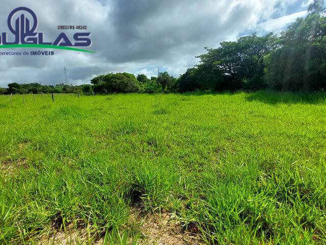 #2146 - CHÁCARAS ACIMA DE 2 HECTARES para Venda em Viamão - RS - 2