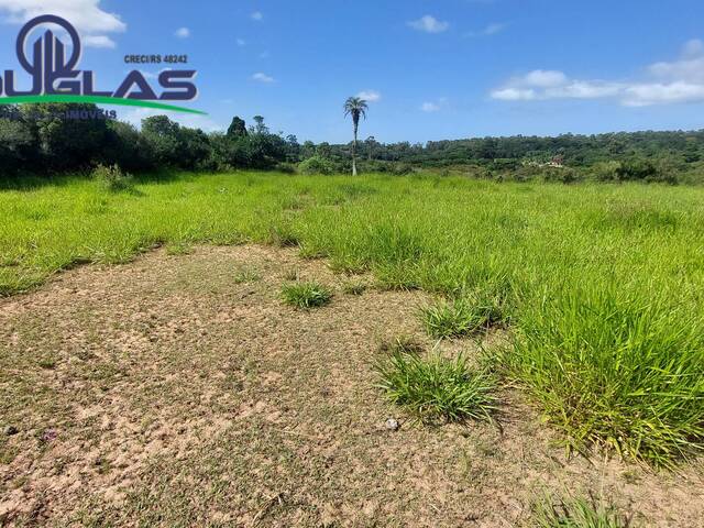 #2146 - CHÁCARAS ACIMA DE 2 HECTARES para Venda em Viamão - RS - 1